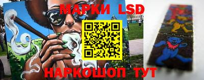 индика Ефремов