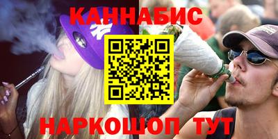 индика Ефремов