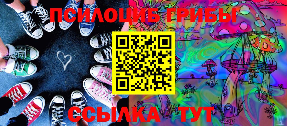 Всеволожск  Галлюциногенные грибы мицелий  Вход с VPN 