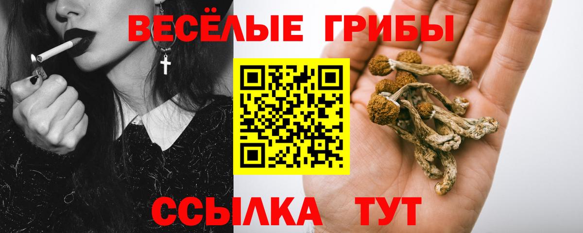 Псилоцибиновые грибы прущие грибы Всеволожск